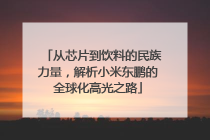 从芯片到饮料的民族力量，解析小米东鹏的全球化高光之路