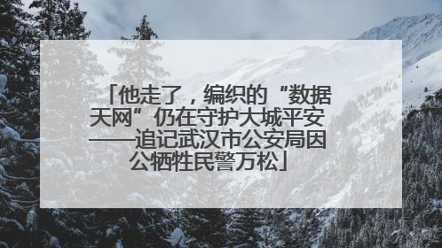 他走了，编织的“数据天网”仍在守护大城平安——追记武汉市公安局因公牺牲民警万松