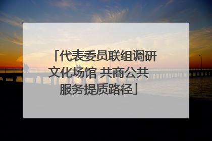 代表委员联组调研文化场馆 共商公共服务提质路径
