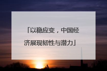 以稳应变,中国经济展现韧性与潜力