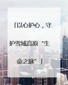 以心护心，守护雪域高原“生命之脉”