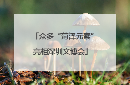众多“菏泽元素”亮相深圳文博会