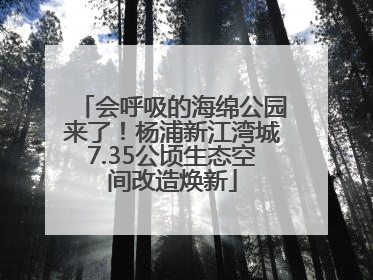 会呼吸的海绵公园来了！杨浦新江湾城7.35公顷生态空间改造焕新