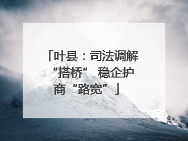 叶县：司法调解“搭桥” 稳企护商“路宽”