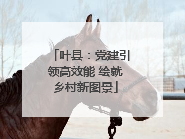 叶县：党建引领高效能 绘就乡村新图景