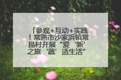 参观+互动+实践！常熟市沙家浜镇常昆村开展“爱‘新’之旅‘蔬’适生活”参观学习活动