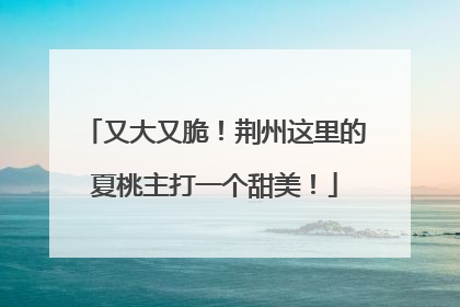 又大又脆！荆州这里的夏桃主打一个甜美！