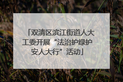 双清区滨江街道人大工委开展“法治护绿护安人大行”活动