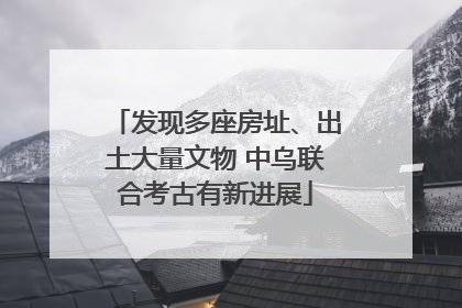 发现多座房址、出土大量文物 中乌联合考古有新进展