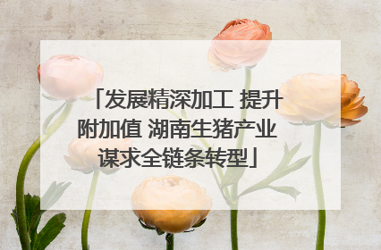 发展精深加工 提升附加值 湖南生猪产业谋求全链条转型