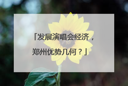 发展演唱会经济，郑州优势几何？