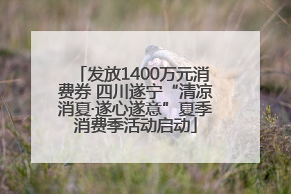 发放1400万元消费券 四川遂宁“清凉消夏·遂心遂意”夏季消费季活动启动