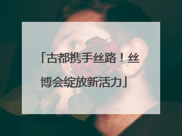 古都携手丝路！丝博会绽放新活力