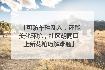 可防车辆乱入，还能美化环境，社区胡同口上新花箱巧解难题
