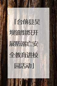 台前县吴坝镇组织开展防溺亡安全教育进校园活动