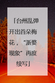 台州乱弹开出首朵梅花，“浙婺现象”再度续写