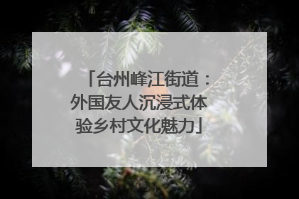 台州峰江街道：外国友人沉浸式体验乡村文化魅力