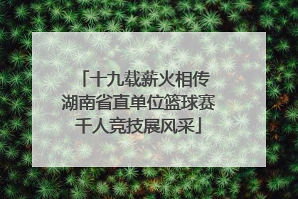 十九载薪火相传 湖南省直单位篮球赛千人竞技展风采
