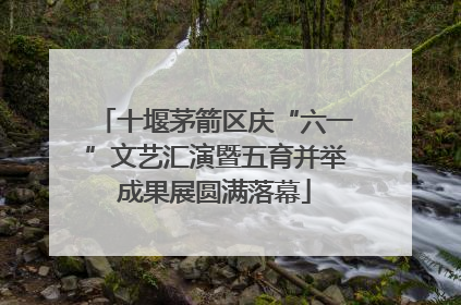 十堰茅箭区庆“六一”文艺汇演暨五育并举成果展圆满落幕