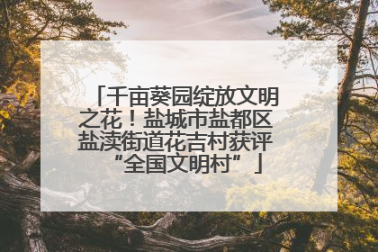 千亩葵园绽放文明之花！盐城市盐都区盐渎街道花吉村获评“全国文明村”