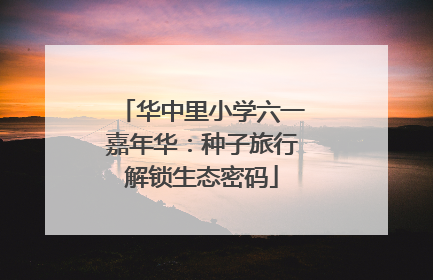 华中里小学六一嘉年华：种子旅行解锁生态密码