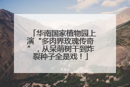 华南国家植物园上演“多肉界玫瑰传奇”，从呆萌树干到炸裂种子全是戏！
