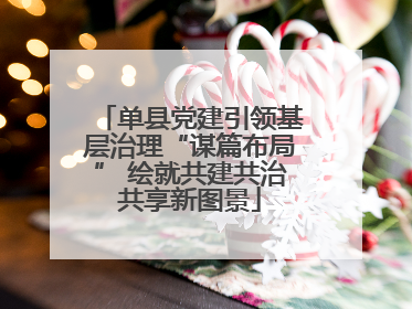 单县党建引领基层治理“谋篇布局” 绘就共建共治共享新图景