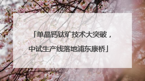 单晶钙钛矿技术大突破，中试生产线落地浦东康桥