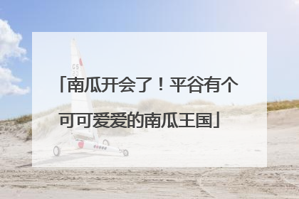 南瓜开会了！平谷有个可可爱爱的南瓜王国