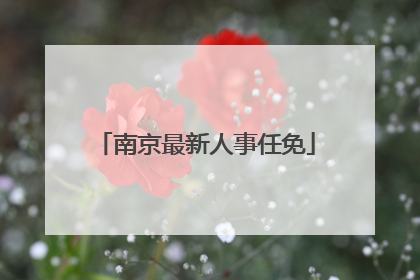 南京最新人事任免