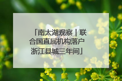 南太湖观察｜联合国直属机构落户浙江县城三年间