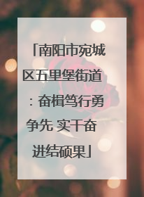 南阳市宛城区五里堡街道：奋楫笃行勇争先 实干奋进结硕果