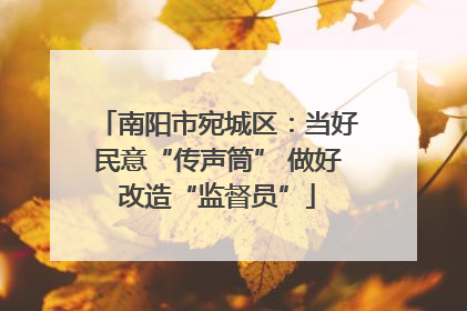 南阳市宛城区：当好民意“传声筒” 做好改造“监督员”
