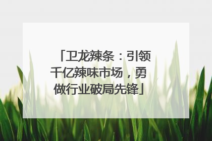 卫龙辣条：引领千亿辣味市场，勇做行业破局先锋