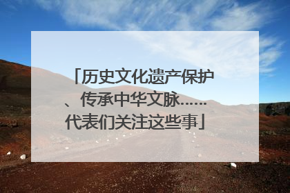 历史文化遗产保护、传承中华文脉……代表们关注这些事