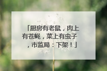 厨房有老鼠，肉上有苍蝇，菜上有虫子，市监局：下架！