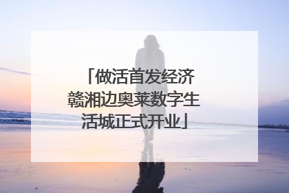 做活首发经济 赣湘边奥莱数字生活城正式开业