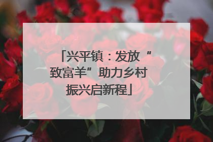 兴平镇：发放“致富羊”助力乡村振兴启新程