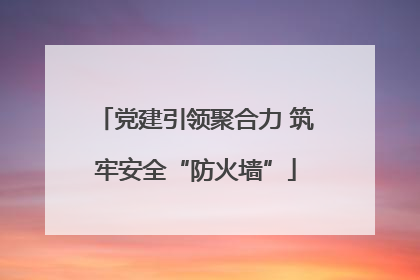 党建引领聚合力 筑牢安全“防火墙”