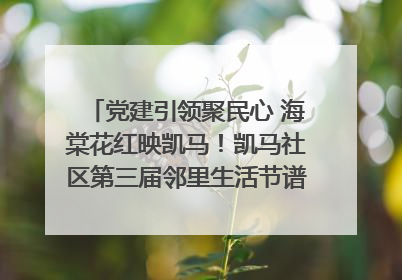 党建引领聚民心 海棠花红映凯马！凯马社区第三届邻里生活节谱写幸福新篇章