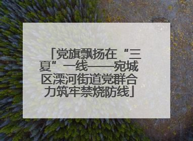 党旗飘扬在“三夏”一线——宛城区溧河街道党群合力筑牢禁烧防线