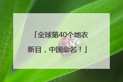 全球第40个地衣新目，中国命名！