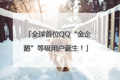 全球首位QQ“金企鹅”等级用户诞生！