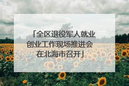 全区退役军人就业创业工作现场推进会在北海市召开