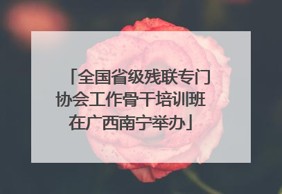 全国省级残联专门协会工作骨干培训班在广西南宁举办