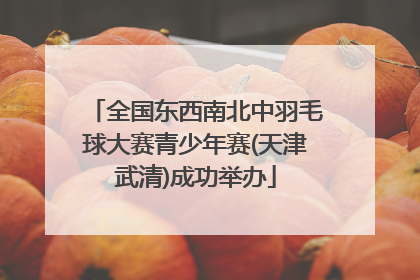 全国东西南北中羽毛球大赛青少年赛(天津武清)成功举办