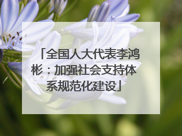 全国人大代表李鸿彬：加强社会支持体系规范化建设