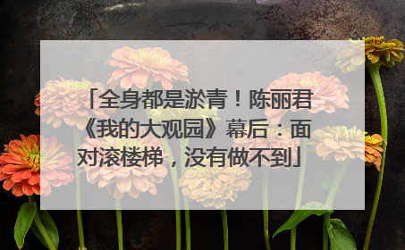 全身都是淤青！陈丽君《我的大观园》幕后：面对滚楼梯，没有做不到
