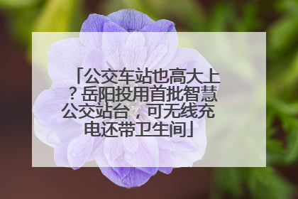 公交车站也高大上？岳阳投用首批智慧公交站台，可无线充电还带卫生间