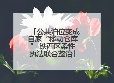 公共泊位变成自家“移动仓库” 铁西区柔性执法联合整治